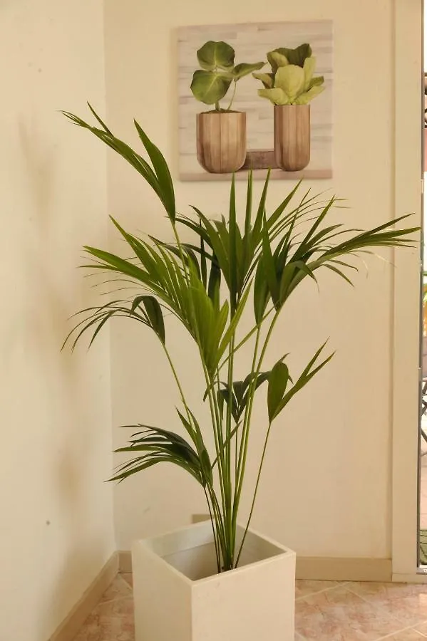 Giardino In Citta; Centralissimo Sanremo Apartment